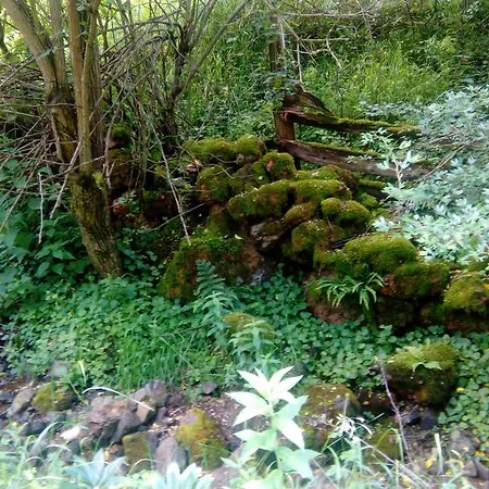 娜娜度假屋 * 莫克拉戈拉